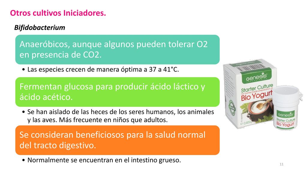 Anaeróbicos, aunque algunos pueden tolerar O2 en presencia de CO2.