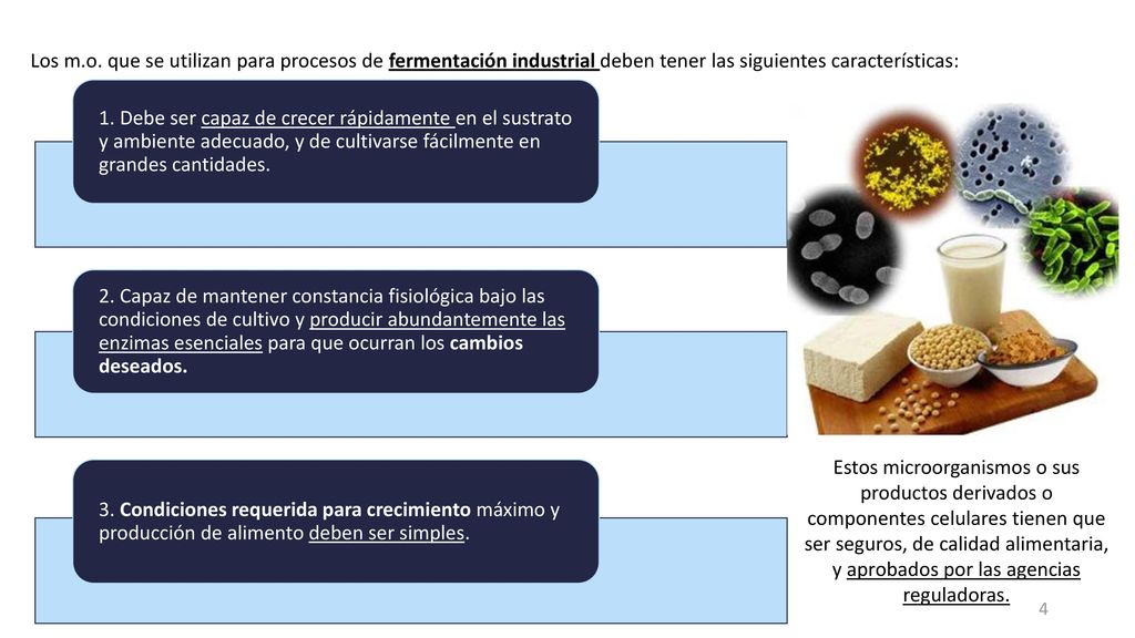 Los m.o. que se utilizan para procesos de fermentación industrial deben tener las siguientes características: