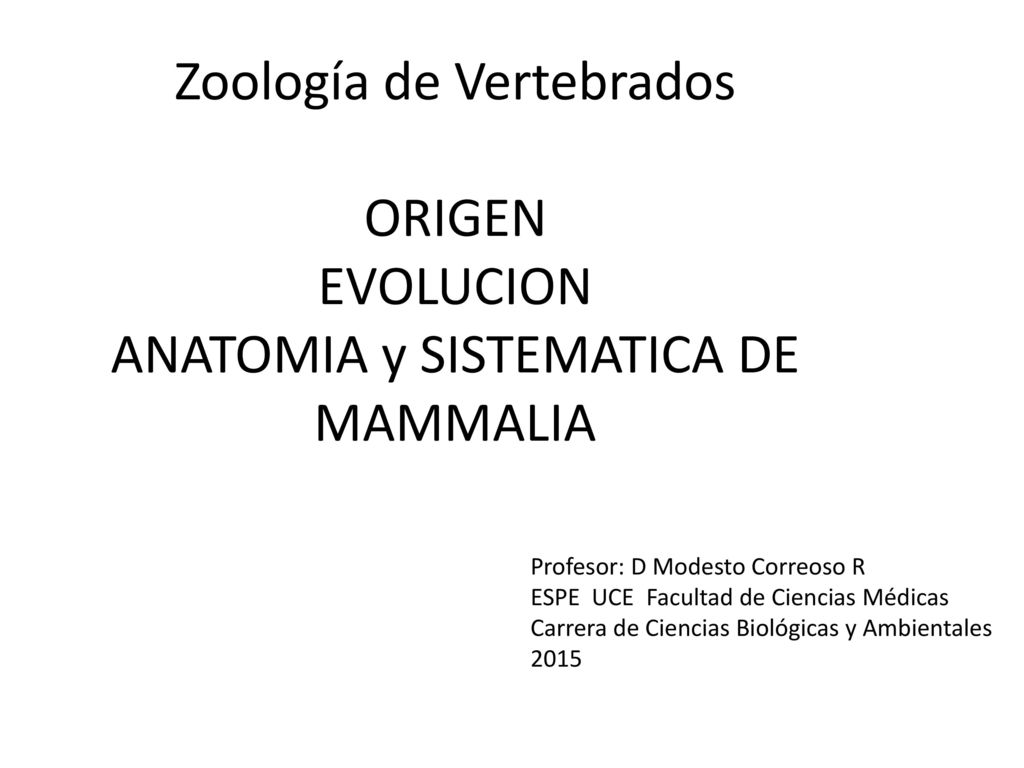 Zoología de Vertebrados ORIGEN EVOLUCION ANATOMIA y SISTEMATICA DE MAMMALIA