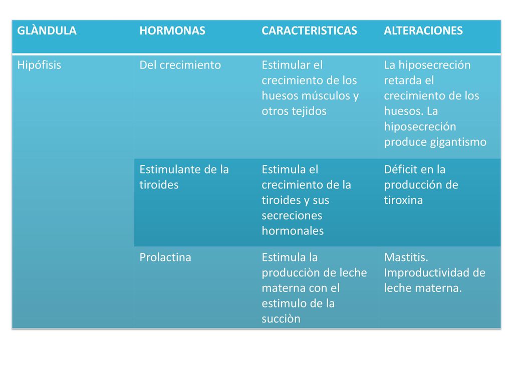 GLÀNDULA HORMONAS. CARACTERISTICAS. ALTERACIONES. Hipófisis. Del crecimiento. Estimular el crecimiento de los huesos músculos y otros tejidos.