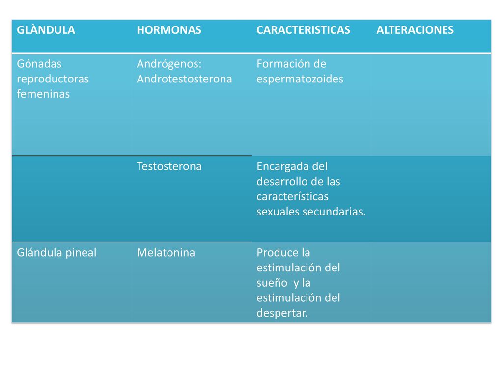 GLÀNDULA HORMONAS. CARACTERISTICAS. ALTERACIONES. Gónadas reproductoras femeninas. Andrógenos: Androtestosterona.