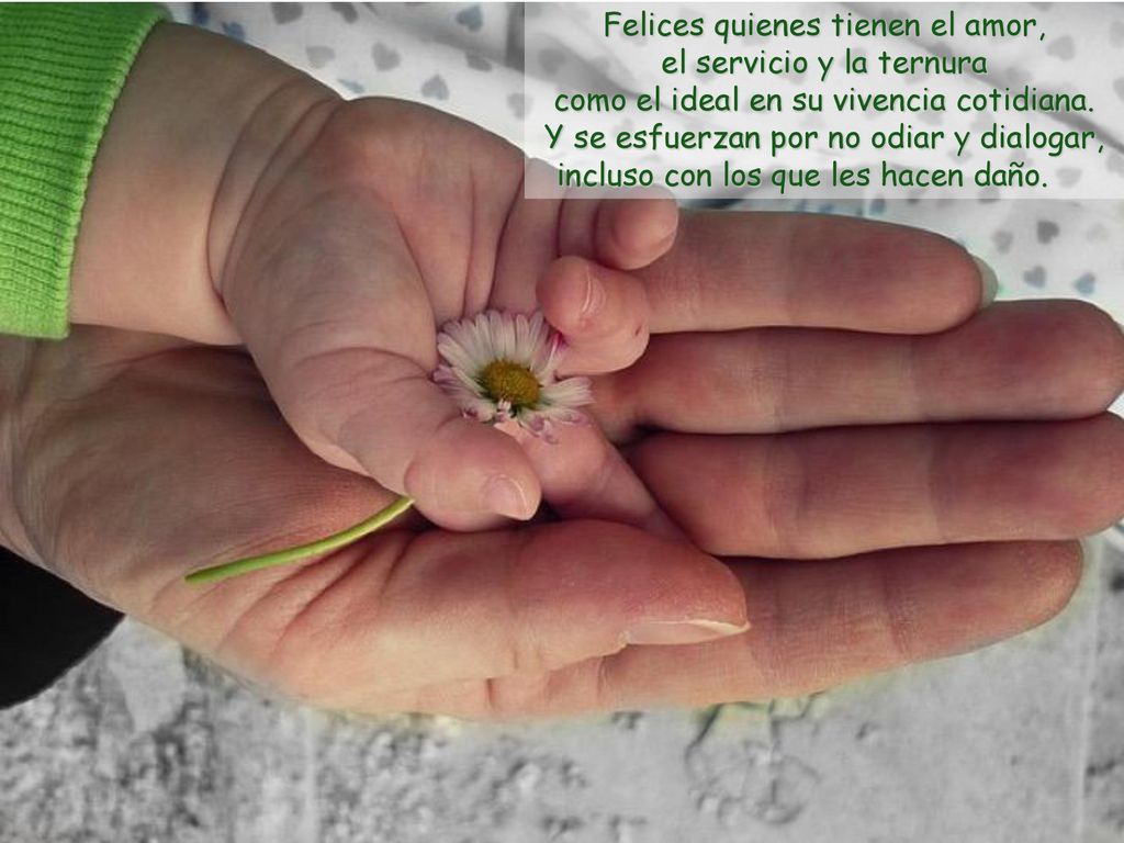 Felices quienes tienen el amor, el servicio y la ternura como el ideal en su vivencia cotidiana.
