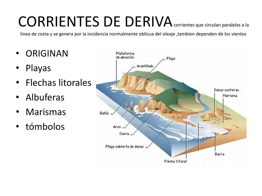 CORRIENTES DE DERIVA corrientes que circulan paralelas a la linea de costa y se genera por la incidencia normalmente oblicua del oleaje ,tambien dependen de los vientos