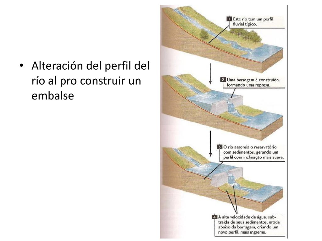 Alteración del perfil del río al pro construir un embalse