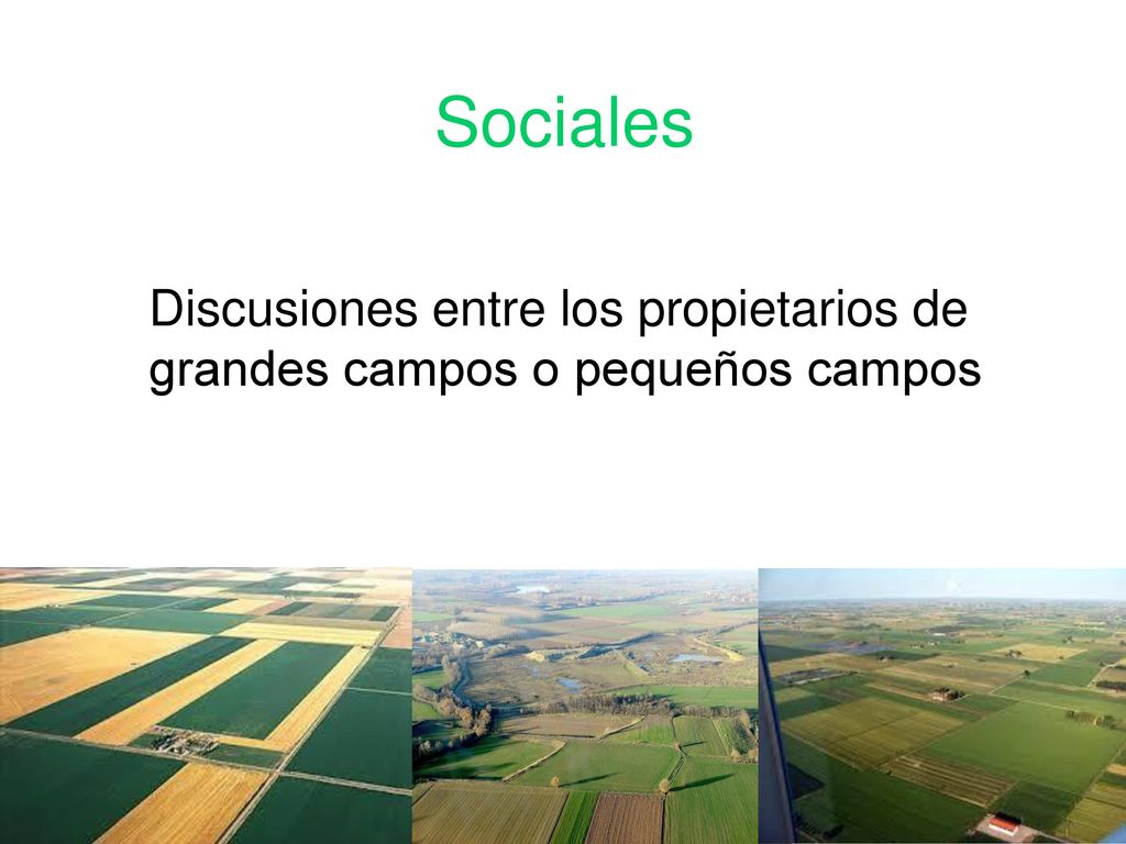 Sociales Discusiones entre los propietarios de grandes campos o pequeños campos