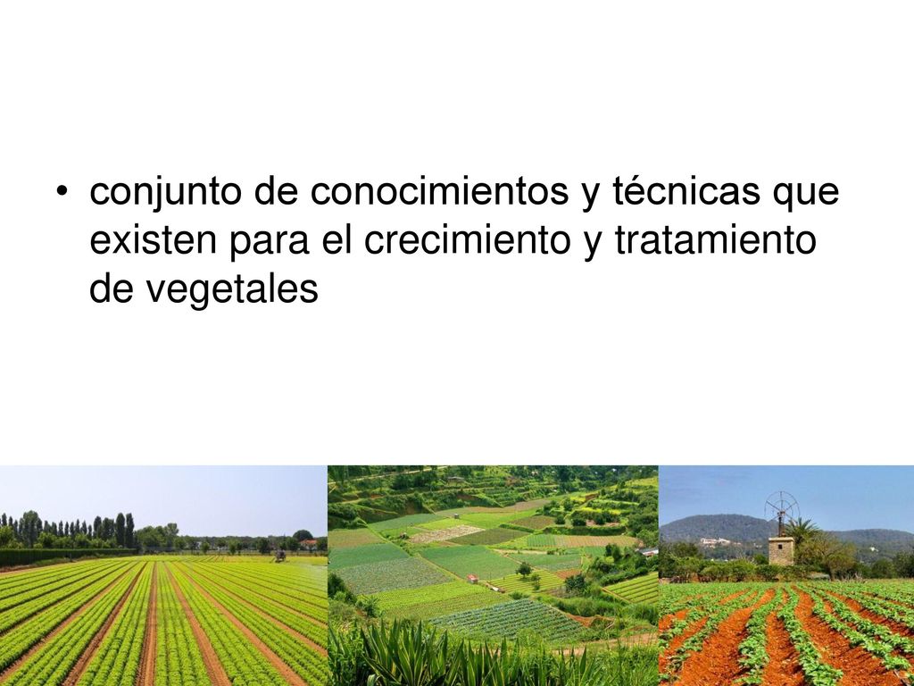 conjunto de conocimientos y técnicas que existen para el crecimiento y tratamiento de vegetales
