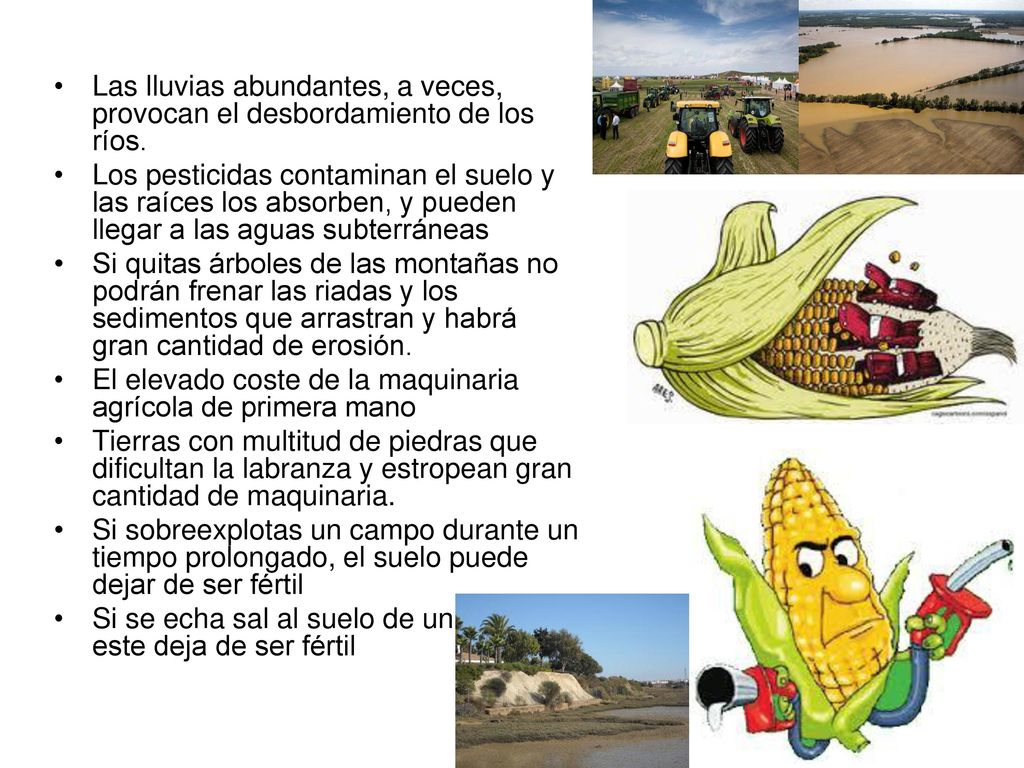 Las lluvias abundantes, a veces, provocan el desbordamiento de los ríos.