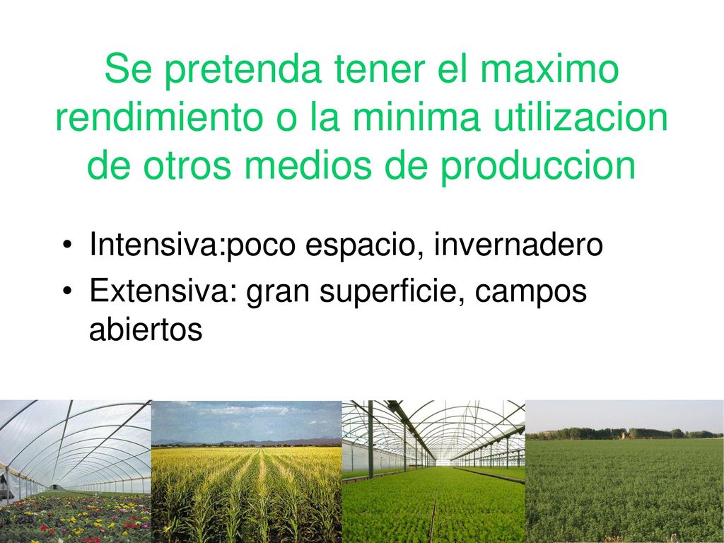 Se pretenda tener el maximo rendimiento o la minima utilizacion de otros medios de produccion
