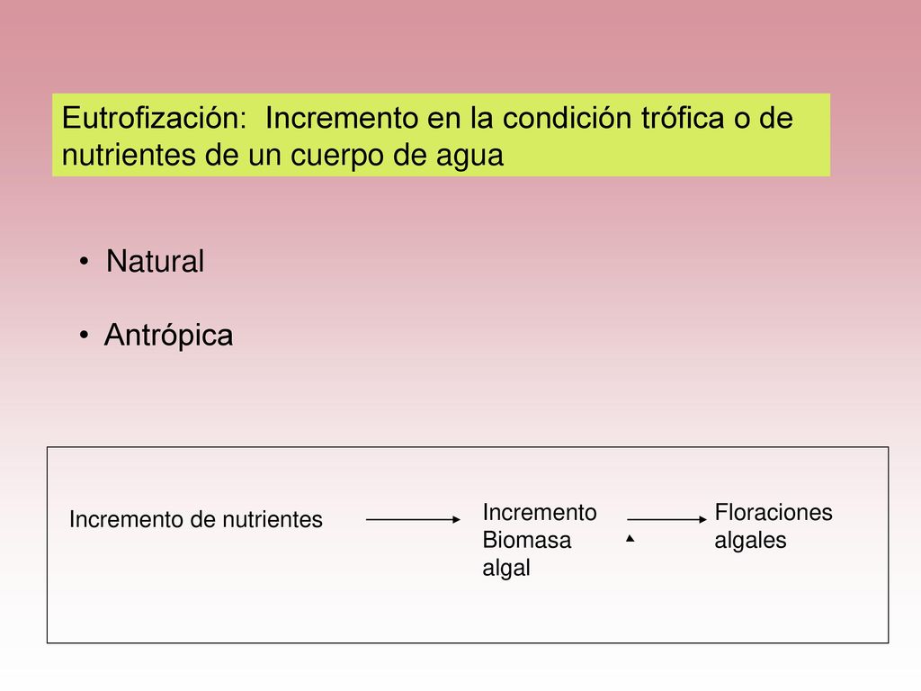 Eutrofización: Incremento en la condición trófica o de nutrientes de un cuerpo de agua