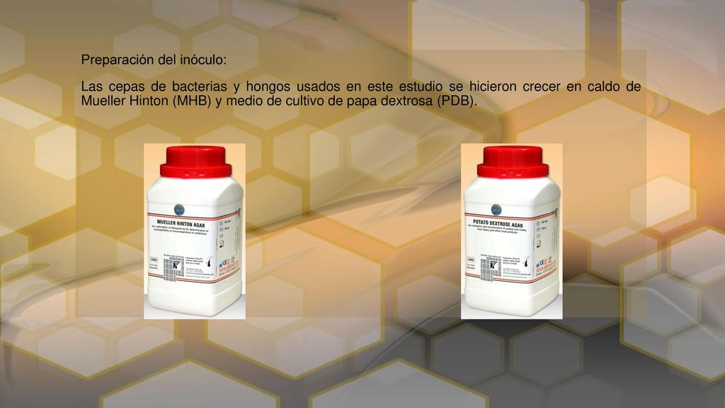 Preparación del inóculo: Las cepas de bacterias y hongos usados en este estudio se hicieron crecer en caldo de Mueller Hinton (MHB) y medio de cultivo de papa dextrosa (PDB).