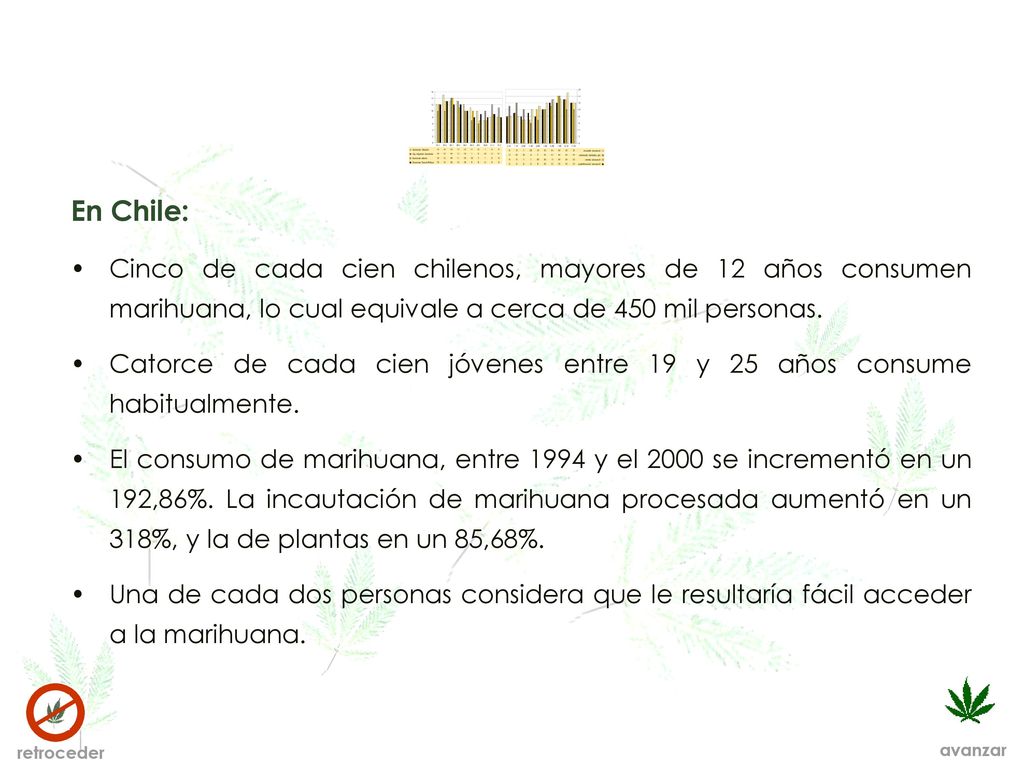 En Chile: Cinco de cada cien chilenos, mayores de 12 años consumen marihuana, lo cual equivale a cerca de 450 mil personas.