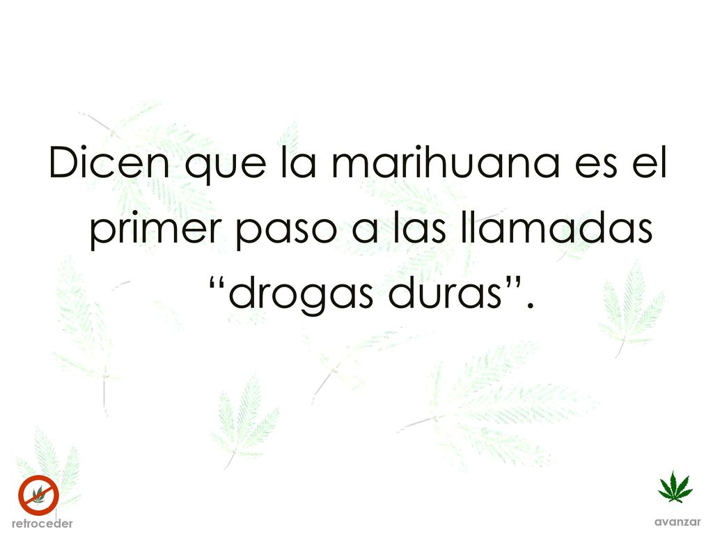 Dicen que la marihuana es el primer paso a las llamadas drogas duras .