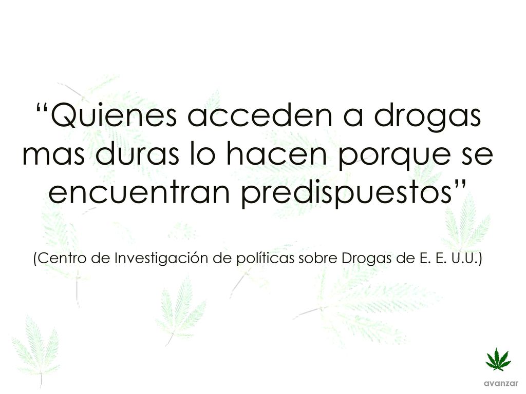Quienes acceden a drogas mas duras lo hacen porque se encuentran predispuestos (Centro de Investigación de políticas sobre Drogas de E. E. U.U.)