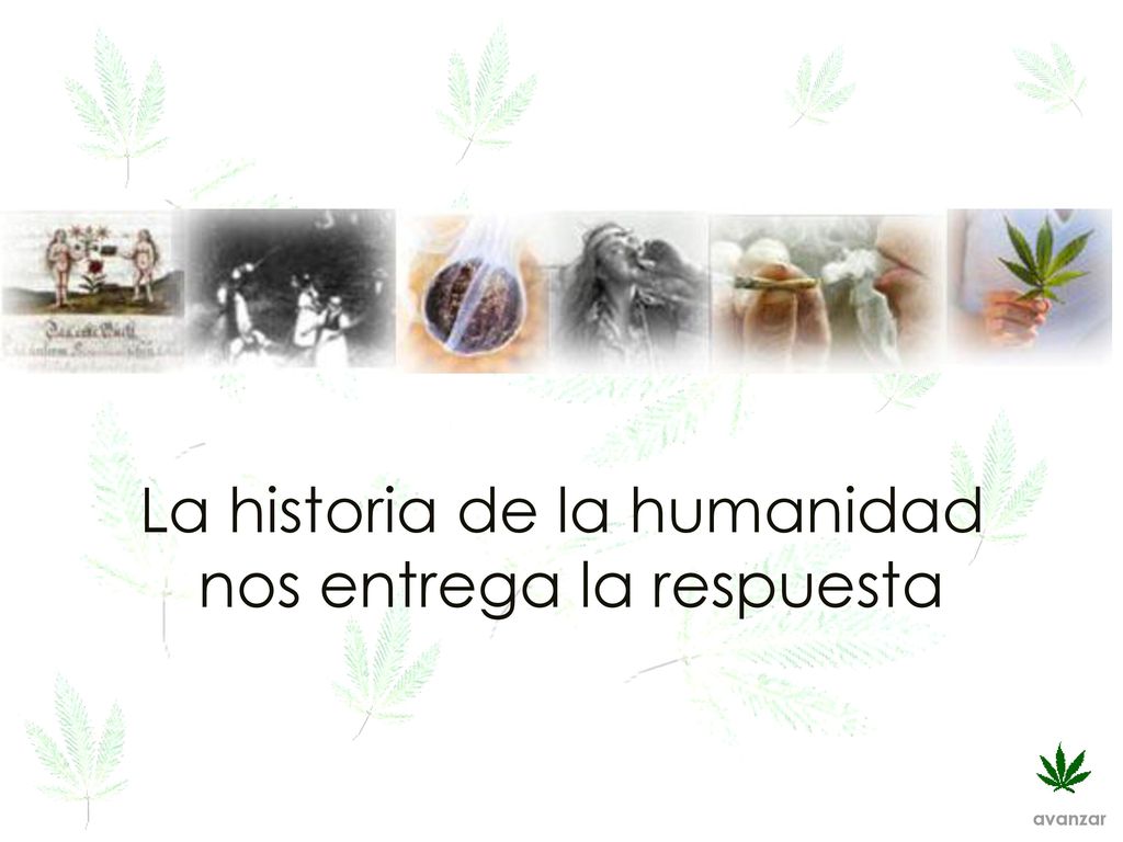 La historia de la humanidad nos entrega la respuesta