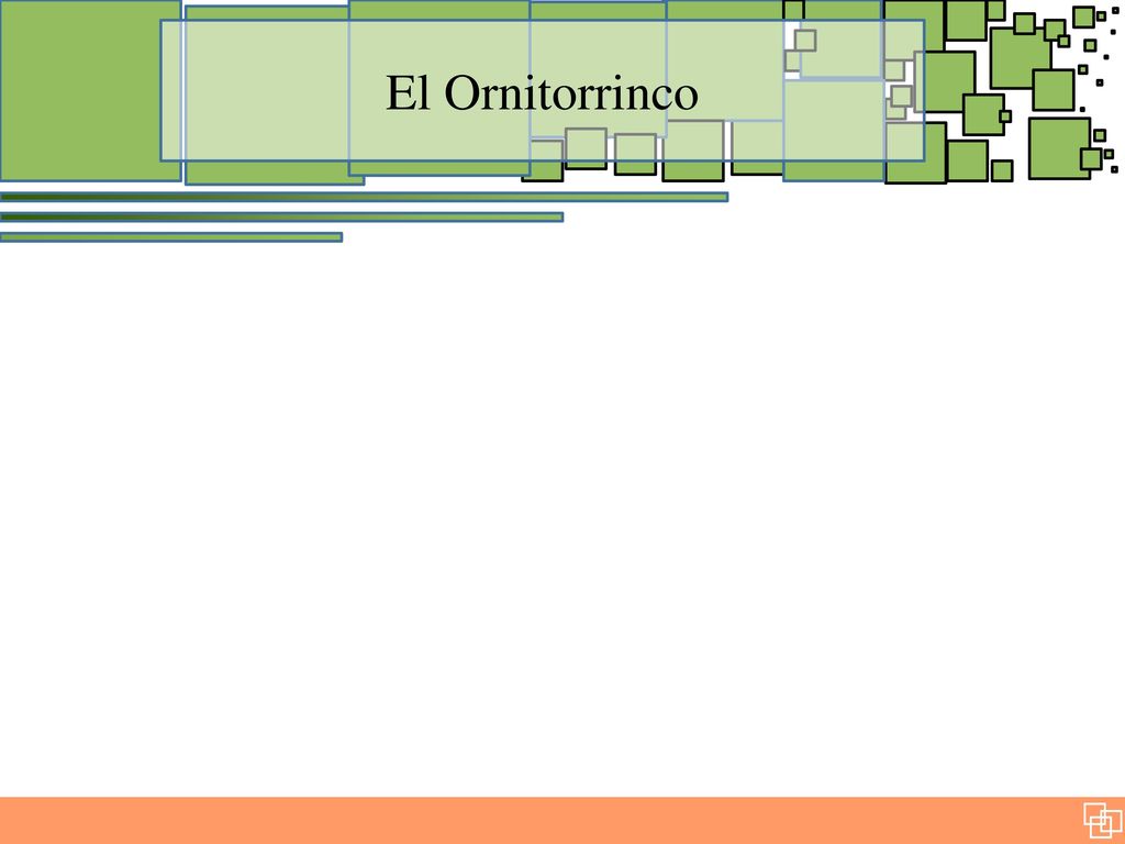 El Ornitorrinco El rol de SysAdmin, su relación con los antecedentes y su papel en la continuidad histórica UNIX – GNU - Linux.