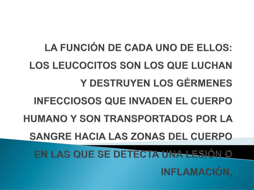 LA FUNCIÓN DE CADA UNO DE ELLOS: LOS LEUCOCITOS SON LOS QUE LUCHAN Y DESTRUYEN LOS GÉRMENES INFECCIOSOS QUE INVADEN EL CUERPO HUMANO Y SON TRANSPORTADOS POR LA SANGRE HACIA LAS ZONAS DEL CUERPO EN LAS QUE SE DETECTA UNA LESIÓN O INFLAMACIÓN,