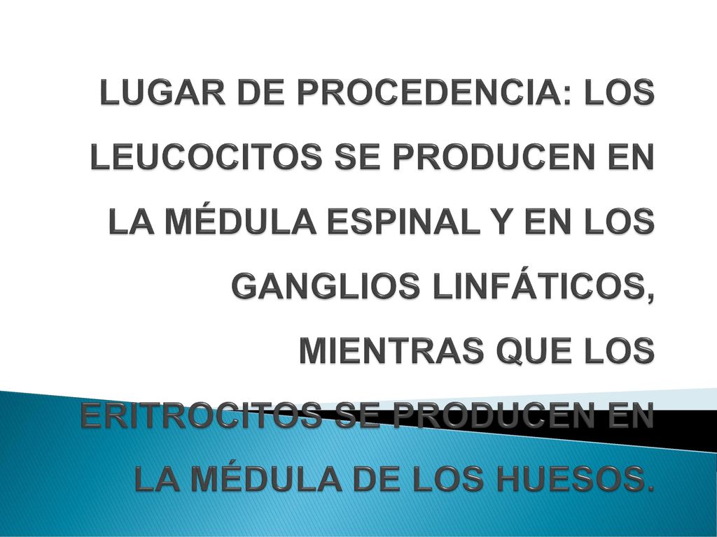 LUGAR DE PROCEDENCIA: LOS LEUCOCITOS SE PRODUCEN EN LA MÉDULA ESPINAL Y EN LOS GANGLIOS LINFÁTICOS, MIENTRAS QUE LOS ERITROCITOS SE PRODUCEN EN LA MÉDULA DE LOS HUESOS.