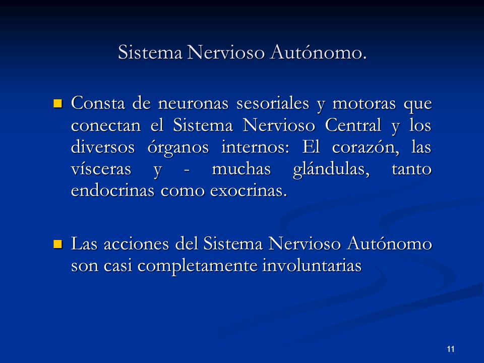 Sistema Nervioso Autónomo.