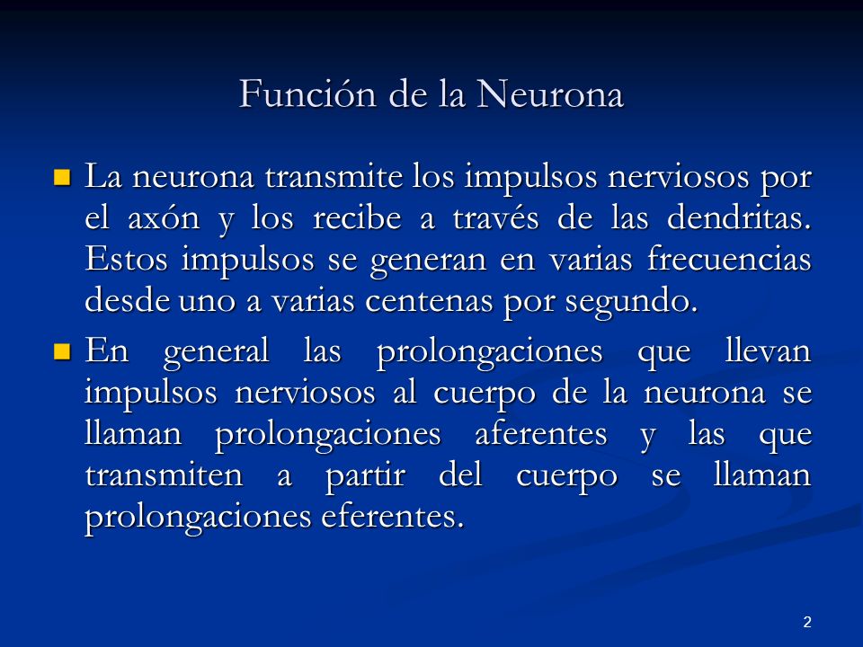Función de la Neurona
