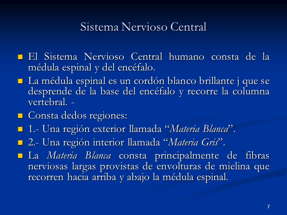 Sistema Nervioso Central