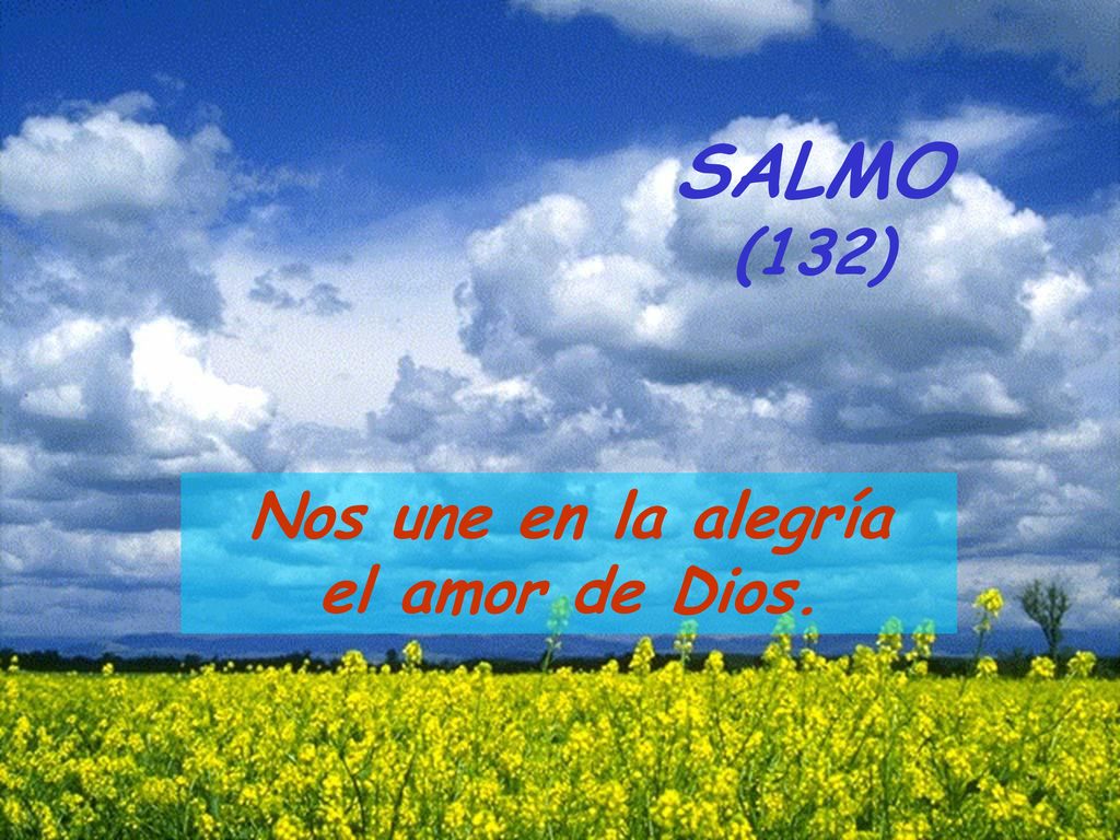 SALMO (132) Nos une en la alegría el amor de Dios.