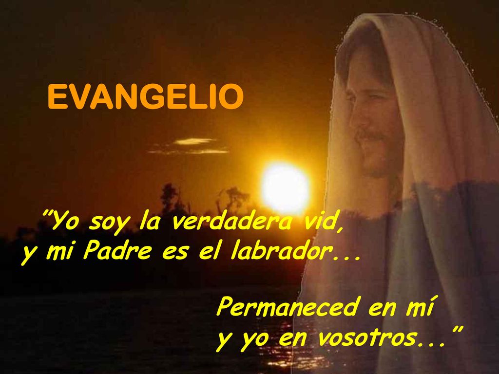 Yo soy la verdadera vid, y mi Padre es el labrador...