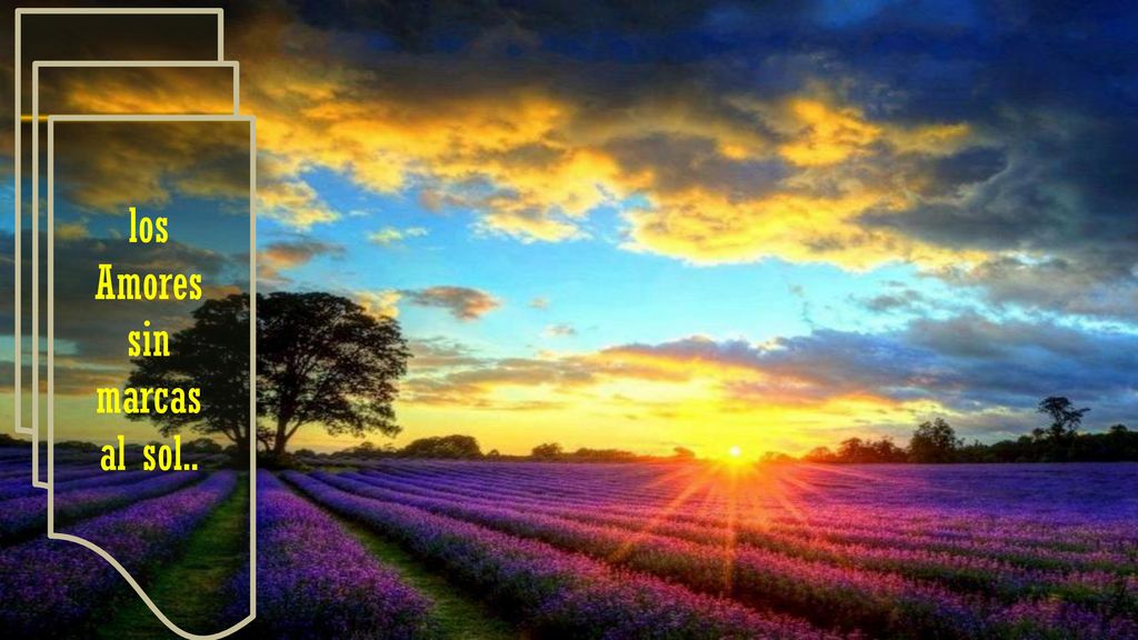 los Amores sin marcas al sol..
