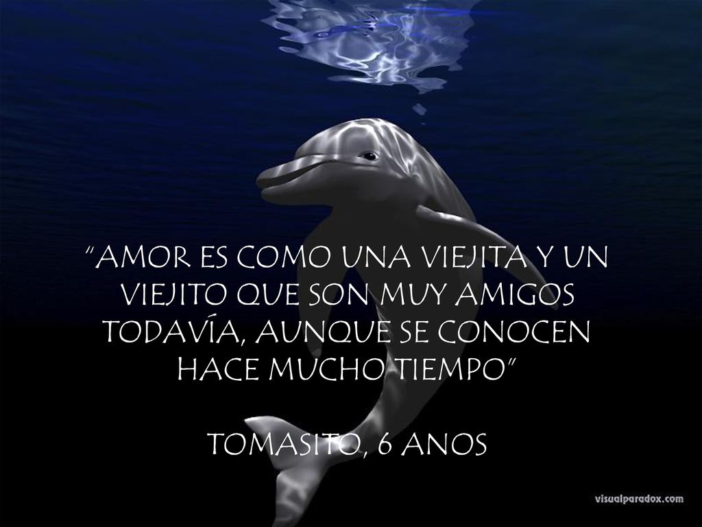 AMOR ES COMO UNA VIEJITA Y UN VIEJITO QUE SON MUY AMIGOS TODAVÍA, AUNQUE SE CONOCEN HACE MUCHO TIEMPO