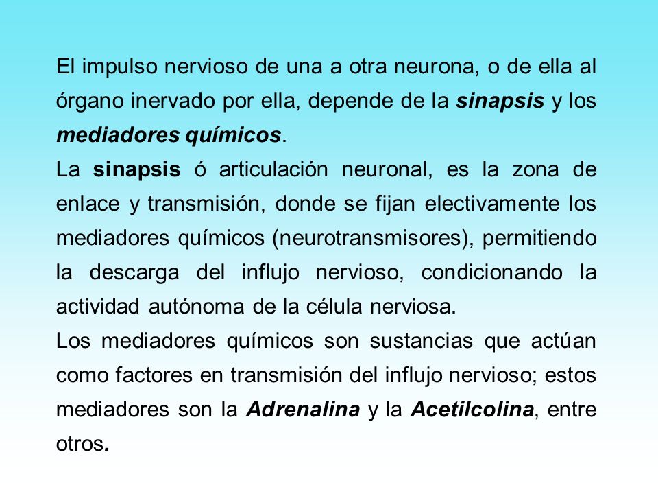 El impulso nervioso de una a otra neurona, o de ella al órgano inervado por ella, depende de la sinapsis y los mediadores químicos.