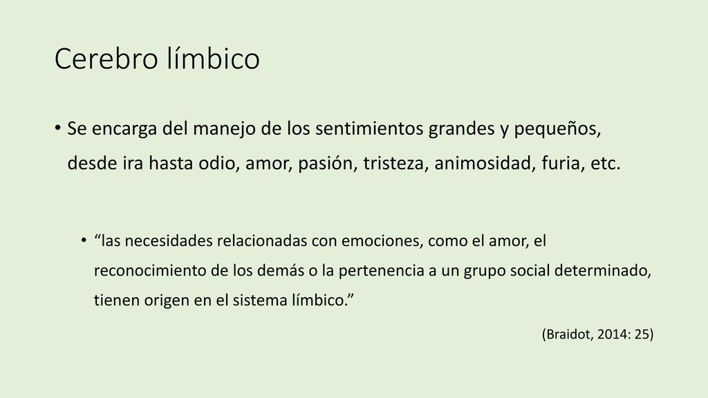 Cerebro límbico Se encarga del manejo de los sentimientos grandes y pequeños, desde ira hasta odio, amor, pasión, tristeza, animosidad, furia, etc.