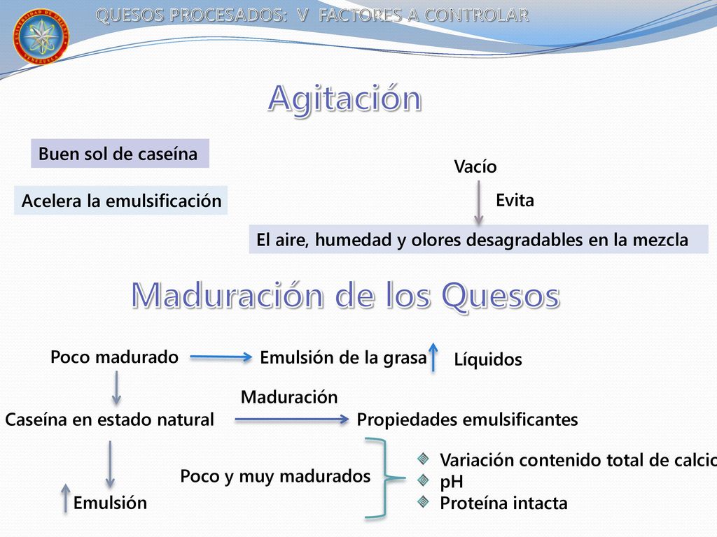 QUESOS PROCESADOS: V FACTORES A CONTROLAR Maduración de los Quesos