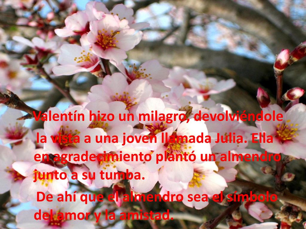 Valentín hizo un milagro, devolviéndole la vista a una joven llamada Julia.