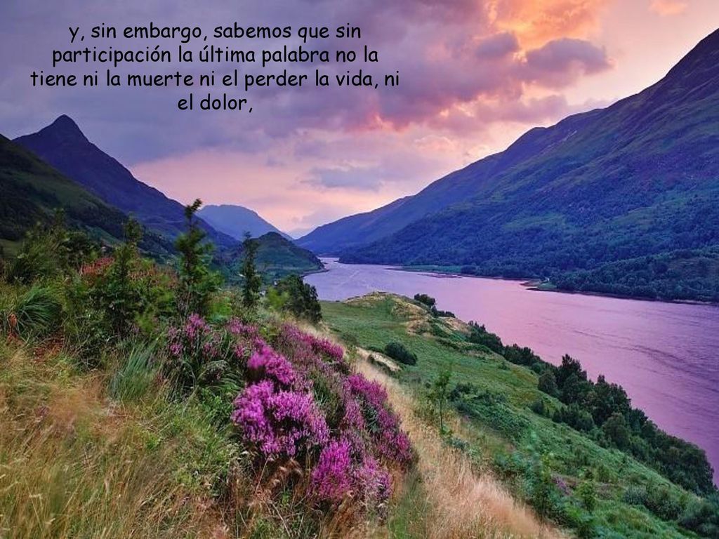 y, sin embargo, sabemos que sin participación la última palabra no la tiene ni la muerte ni el perder la vida, ni el dolor,