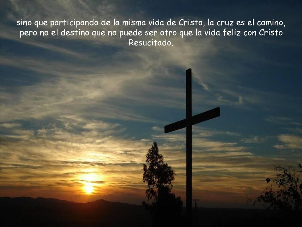 sino que participando de la misma vida de Cristo, la cruz es el camino, pero no el destino que no puede ser otro que la vida feliz con Cristo Resucitado.