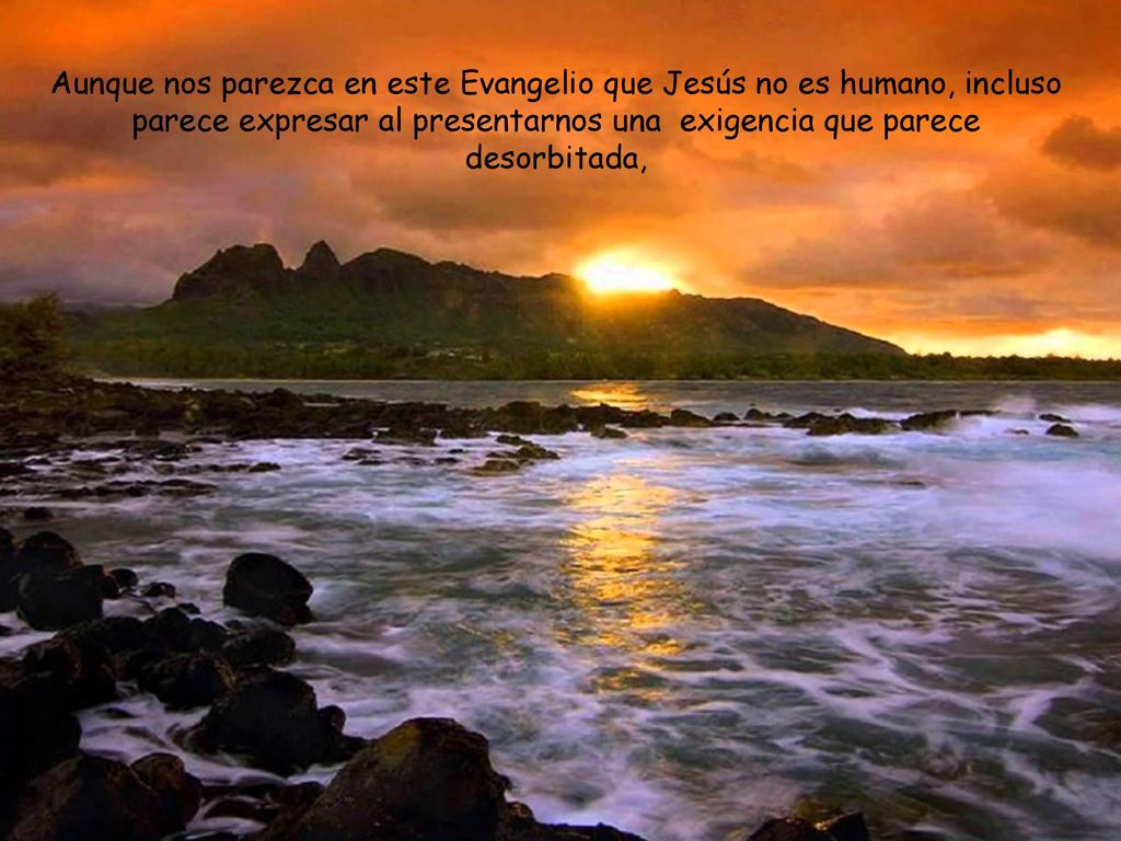 Aunque nos parezca en este Evangelio que Jesús no es humano, incluso parece expresar al presentarnos una exigencia que parece desorbitada,