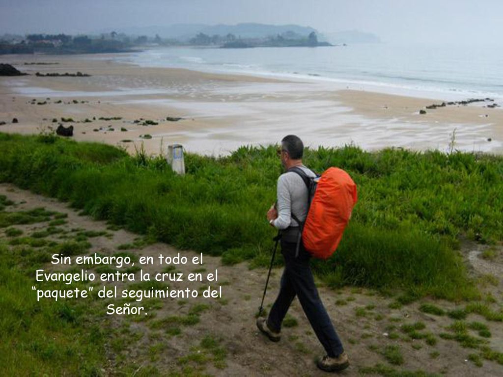 Sin embargo, en todo el Evangelio entra la cruz en el paquete del seguimiento del Señor.