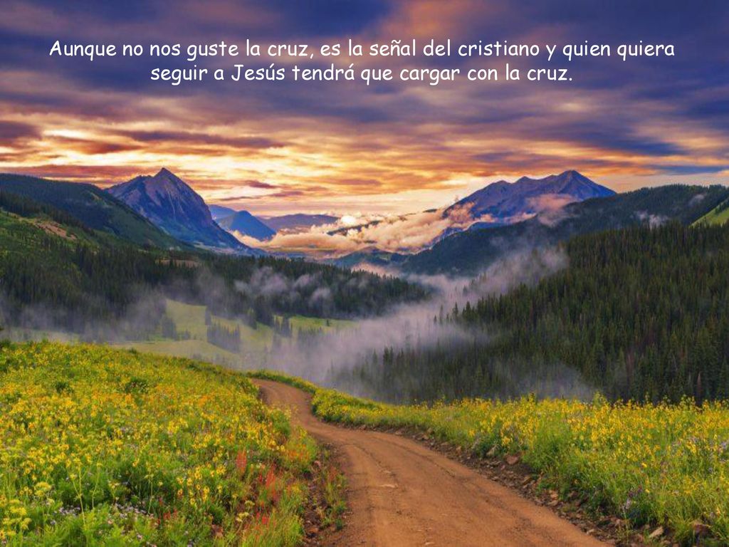Aunque no nos guste la cruz, es la señal del cristiano y quien quiera seguir a Jesús tendrá que cargar con la cruz.