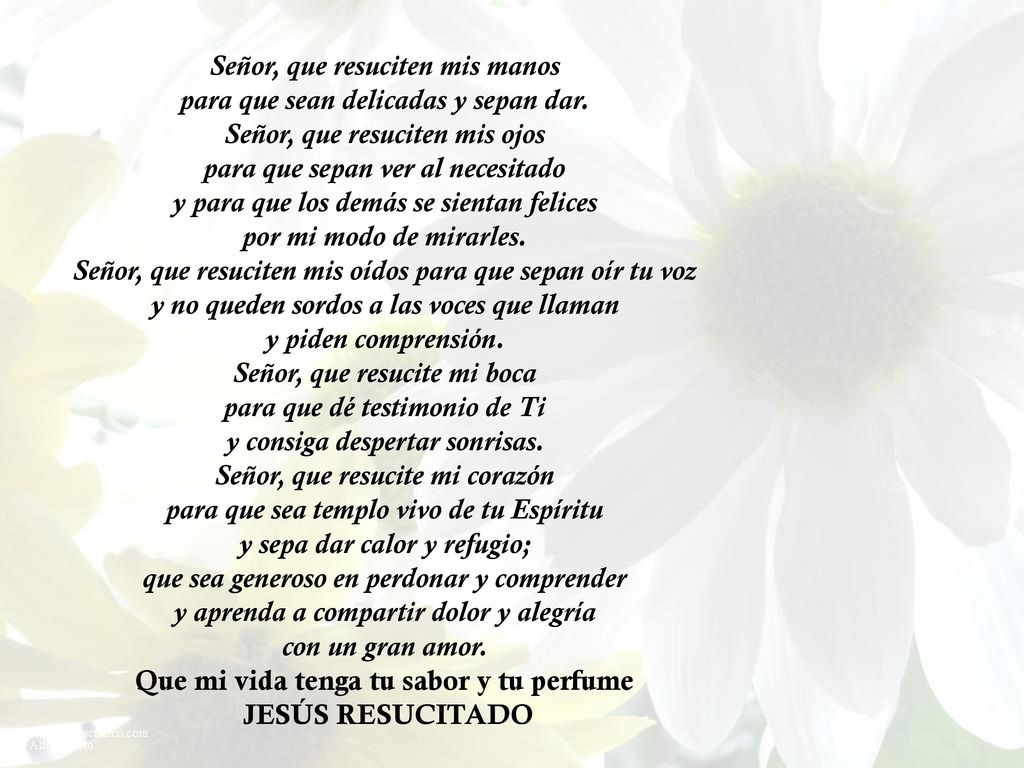 Señor, que resuciten mis manos para que sean delicadas y sepan dar.