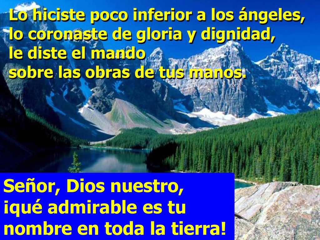 Señor, Dios nuestro, ¡qué admirable es tu nombre en toda la tierra!