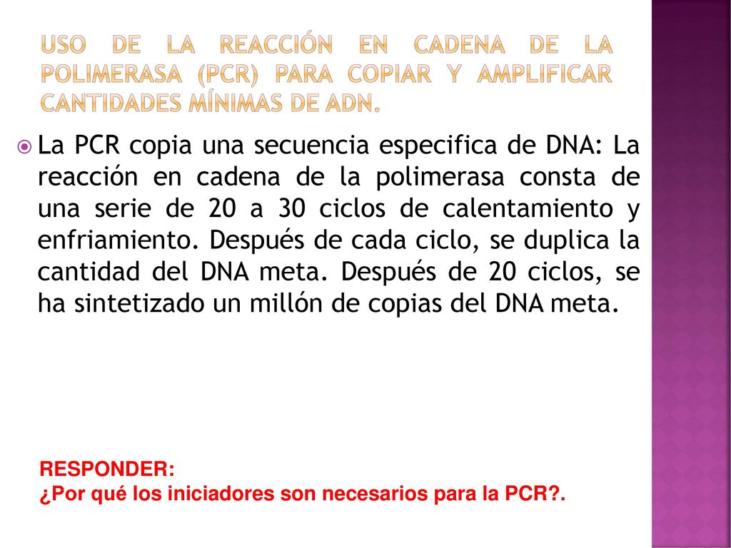 uso de la reacción en cadena de la polimerasa (PCR) para copiar y amplificar cantidades mínimas de ADN.