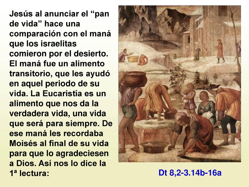 Jesús al anunciar el pan de vida hace una comparación con el maná que los israelitas comieron por el desierto. El maná fue un alimento transitorio, que les ayudó en aquel periodo de su vida. La Eucaristía es un alimento que nos da la verdadera vida, una vida que será para siempre. De ese maná les recordaba Moisés al final de su vida para que lo agradeciesen a Dios. Así nos lo dice la 1ª lectura: