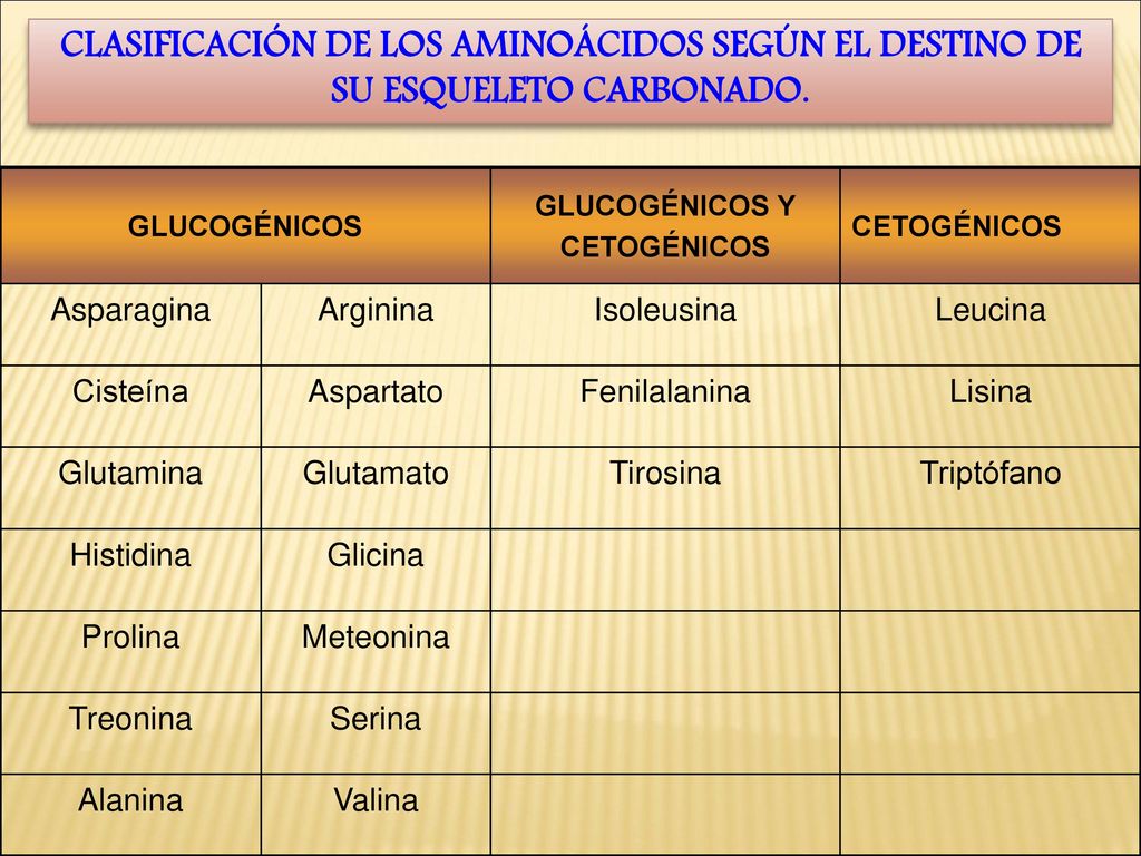 CLASIFICACIÓN DE LOS AMINOÁCIDOS SEGÚN EL DESTINO DE SU ESQUELETO CARBONADO.