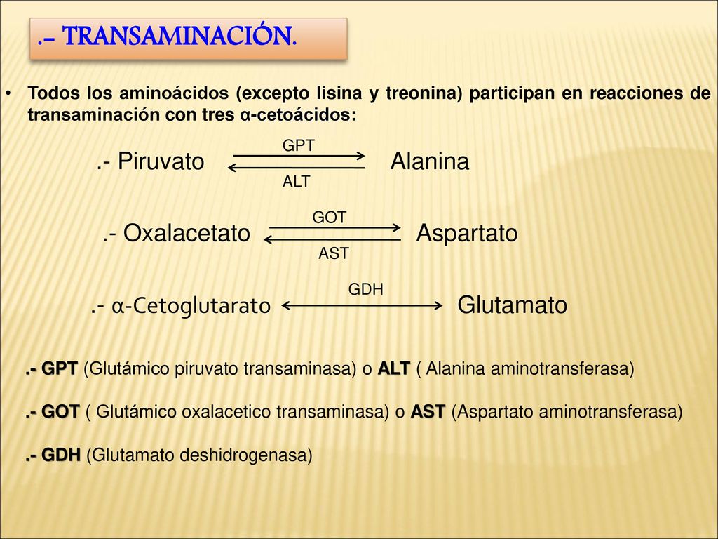 .- TRANSAMINACIÓN. Todos los aminoácidos (excepto lisina y treonina) participan en reacciones de transaminación con tres α-cetoácidos: