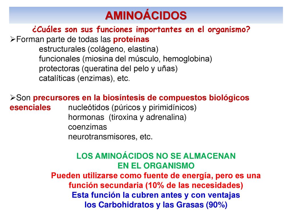 AMINOÁCIDOS ¿Cuáles son sus funciones importantes en el organismo