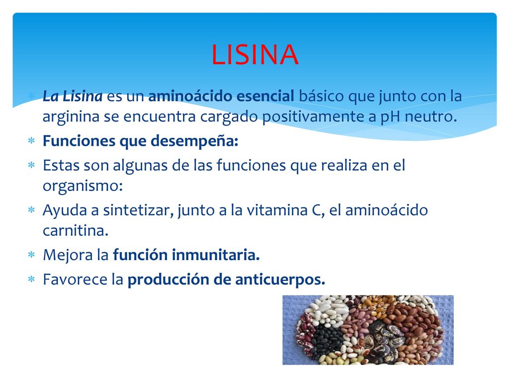 LISINA La Lisina es un aminoácido esencial básico que junto con la arginina se encuentra cargado positivamente a pH neutro.