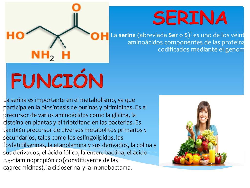 SERINA La serina (abreviada Ser o S)] es uno de los veinte aminoácidos componentes de las proteínas codificados mediante el genoma.