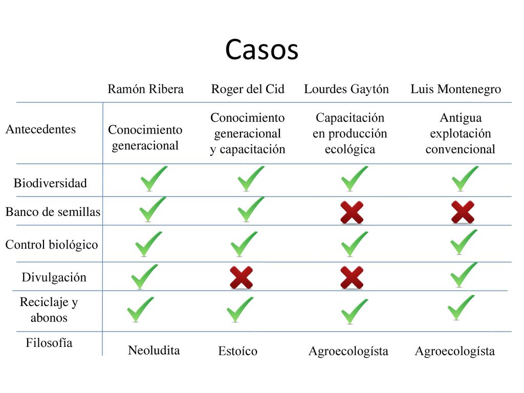 Casos Ramón Ribera Roger del Cid Lourdes Gaytón Luis Montenegro
