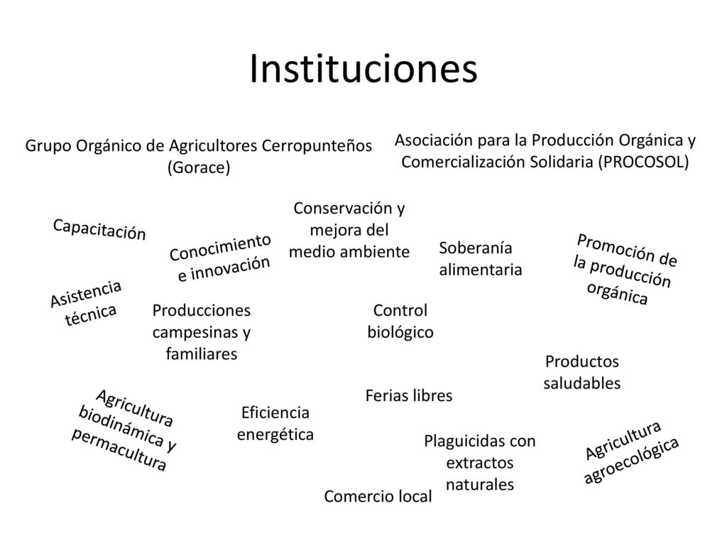 Instituciones Asociación para la Producción Orgánica y Comercialización Solidaria (PROCOSOL) Grupo Orgánico de Agricultores Cerropunteños (Gorace)