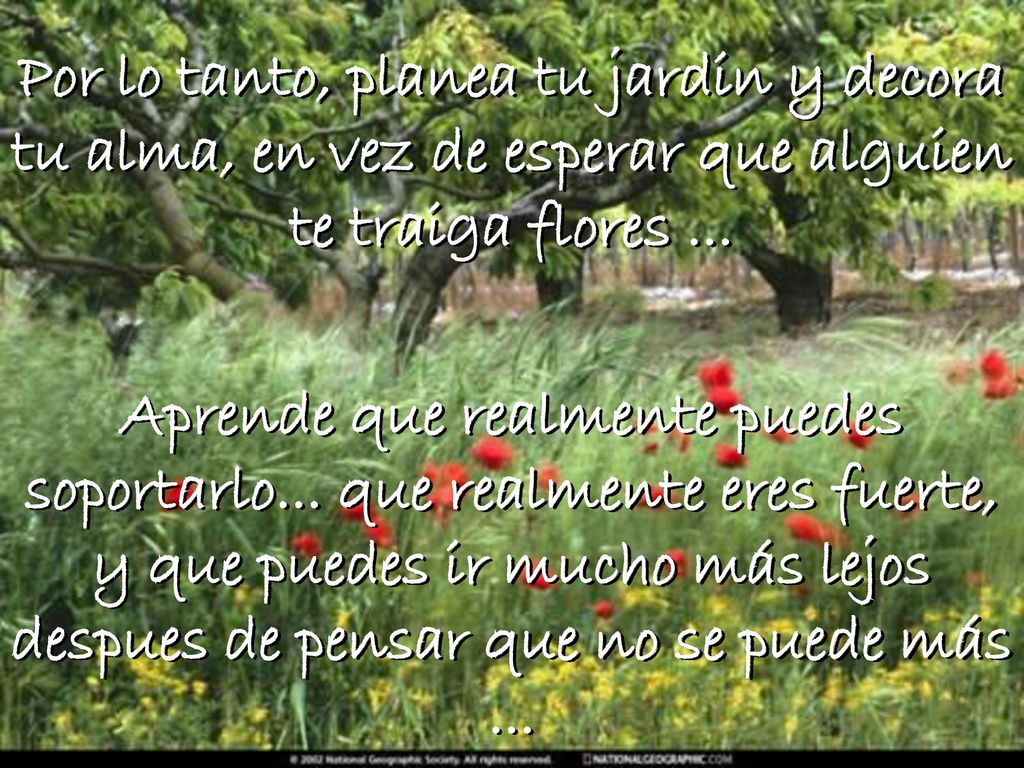 Por lo tanto, planea tu jardin y decora tu alma, en vez de esperar que alguien te traiga flores ...