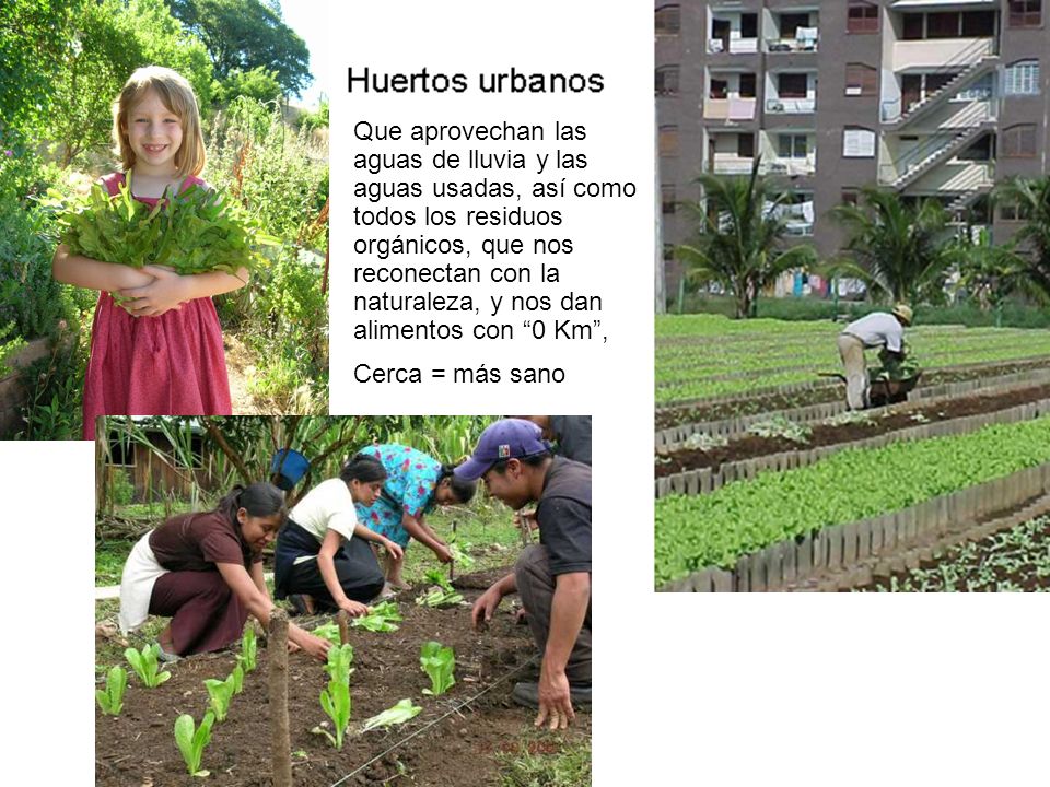 Que aprovechan las aguas de lluvia y las aguas usadas, así como todos los residuos orgánicos, que nos reconectan con la naturaleza, y nos dan alimentos con 0 Km ,